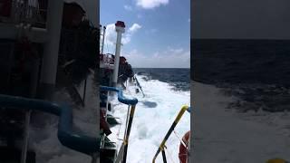 Huge Waves at Sea | Rogue Wave Hits #sea #waves #travel #navy #shorts