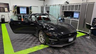 Mustang Apex dual ceramic window tint - Sterling Heights Detroit Tint Studio