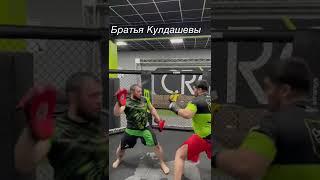 Максим Кулдашев Умиджон Кулдашев