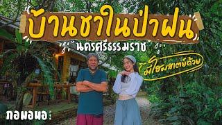 บ้านชาที่มีโฮมสเตย์ในป่าฝน  พรหมคีรี นครศรีธรรมราช l กอมอนอ