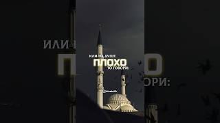 Говори благое #shortvideo #напоминание #субханаллах