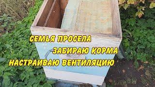 семья просела забираю корма настраиваю вентиляцию