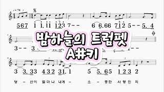 밤하늘의트럼펫 (연주곡) A# 하모니카 악보 영상