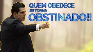 QUEM OBEDECE SE TORNA OBSTINADO!!