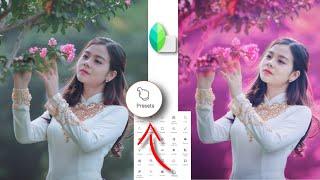 How To Use Presets in Snapseed App // New Snapseed Photo Editing Tricks 2020 | Moody Pink Tone |