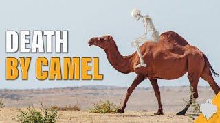 The Phantom Camels of Arizona! | The Red Ghost & The Camel Corps