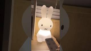 #miffy #bunny #bunnylamp #miffylamp #housedecor