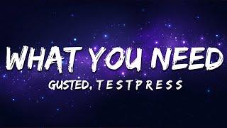 Gusted & t e s t p r e s s -  What You Need (Lyrics)