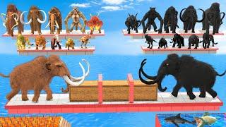 Tug of War Prehistoric Mammals VS Shadow Itself Mammals Size Which animal is stronger? Animal Revolt