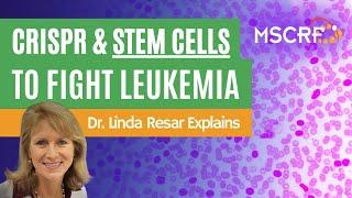 CRISPR and Stem Cells to Fight Leukemia  - Dr Linda Resar | Maryland Stem Cell Research Fund