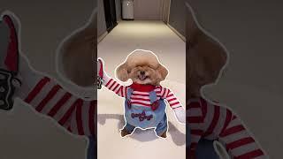 매력터지는 미소아라 순간모음