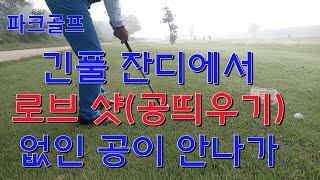 파크골프(park golf) 페어웨이 잔디에서 로브 샷 하는 요령 공띄우기 방법.パークゴルフ