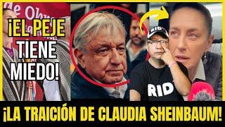 SHEINBAUM TRAICIONARÁ al PEJE: ESTAS REVELACIONEN PRENDEN las ALERTAS en PALACIO | Compilación #426