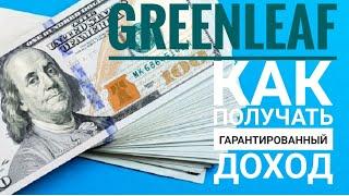 Как получать доход в Гринлиф! Маркетинг компании Greenleaf.