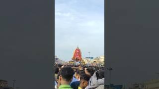 Puri rath yatra joy jagannath #puri #jagannath #culture #festival #trend #god #