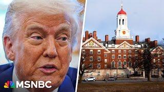 'All dictators smash universities': Professor who left country over Trump policies