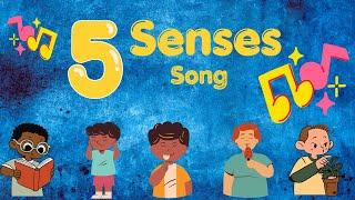 The Five Senses Song | Silly School Songs