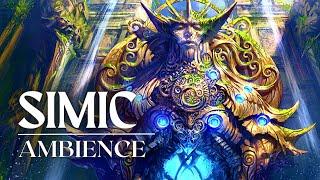 Guilds of Ravnica Simic | Ambient Magic the Gathering