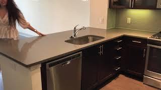 One Bedroom Apartment  in Houston  A1 Layout 706 sqft