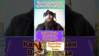 Какая дивная Владычица Богородица! #вера #любовь #спасениедуши