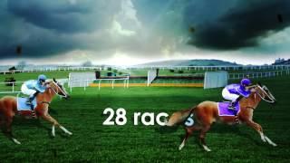 Bluffer's Guide to The Cheltenham Festival