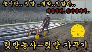텃밭농사 텃밭정리하기 관리기로터리작업 비닐피복작업 청도달콤한농장