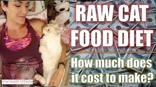 How much does it COST to make Raw Cat Food? - Healthy Cat Tips / Homemade Cat Food