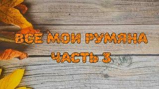  Все мои румяна. Часть 3