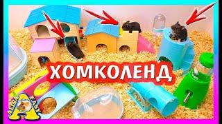 ДЕНЬ РОЖДЕНИЯ ХОМЯЧАТ / ПОДАРКИ ДЛЯ ХОМКИ / Alisa Easy Pets