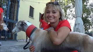 GACI - 14 Settembre 2019 - Arrivo Galgo