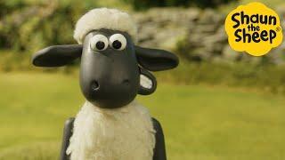 Shaun the Sheep  Happy Sheep - Cartoons for Kids  Full Episodes Compilation [1 hour]