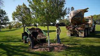 Dwan Golf Course memorial trees