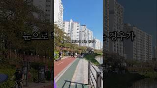 서울에서 대출없이 6억짜리 집을 사면 생기는 일