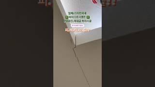 크리트피네 마이크로시멘트 추가 피해자 발생,같은 업체인 크리트피네에서 시공하여 시공한지 얼마안되 크랙발생,여기저기 터지지 않은곳이 없습니다.#마이크로시멘트#크리트피네#유럽미장
