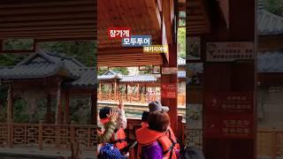 장가계 패키지여행 2학년1반~   #장가계 #백룡엘리베이트 #황룡동굴 #보봉호 #토가족 #유리다리 #패키지여행 #현지가이드이군호 #모두투어 #shorts