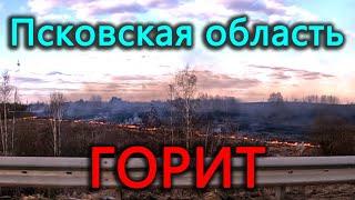 Псковская область в огне! Поехал в Тверь и попал в ДТВ во Ржеве. За что подписчики ругают Андрея?