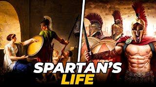 A Day In The Life Of A Sparta