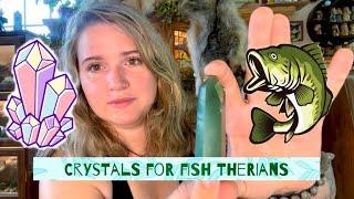 Top 10 Crystals for Fish Therians