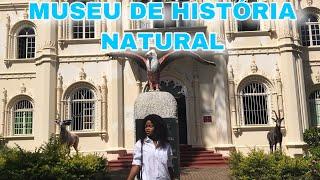 MUSEU DE HISTÓRIA NATURAL EM MAPUTO | YouTuber moçambicana