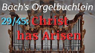 J.S. Bach's "Christ ist erstanden," (BWV 627) + English Translation