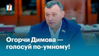 Огорчи Димова — голосуй по-умному!