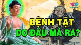 Đêm nghe Truyện Nhân Quả Phật giáo hay nhất - Bệnh Tật Không Khỏi ,Chân Tay Ghẻ Lở , DO ĐÂU MÀ RA?