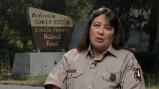 Assistant Recreation Officer in the US Forest Service, Shasta-Trinity NF