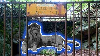 Exploring the Mystery of Hallie's Abandoned Zoo