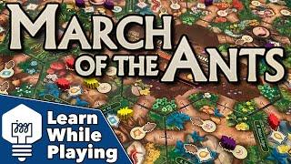 March of the Ant: Evolved Edition -  Learn While Playing