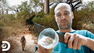 ¿Cómo sobrevivir ante climas hostiles? | Ed Stafford al Extremo | Discovery Latinoamérica