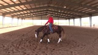 Matt Mills Reining ' How to Teach Your Horse How to Spin Step 1 '