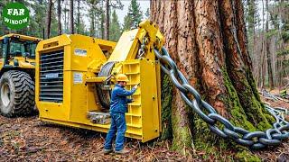 355 Extreme Dangerous Fastest Big Chainsaw Cutting Tree Machines | Heavy Machinery #6