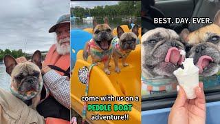 My dogs go on a peddle boat and then get a tasty treat!