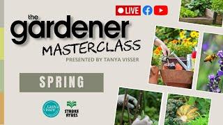 Spring Masterclass | LIVE with Tanya Visser